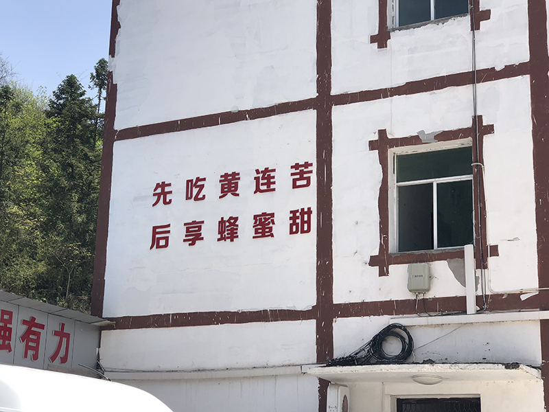 “先吃黄连苦，后享蜂蜜甜”。在石柱县的大街小巷、田间地头经常能见到这幅标语。2018年，石柱县建档立卡贫困群众人均可支配收入达到8903元，较2014年增长1.98倍。（央视记者邓丽娟拍摄）