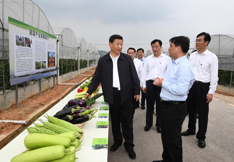 5月20日至22日，中共中央总书记、国家主席、中央军委主席习近平在江西考察，主持召开推动中部地区崛起工作座谈会并发表重要讲话。这是习近平在赣州市于都县梓山富硒蔬菜产业园考察调研。